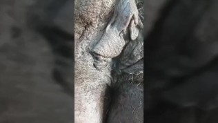 46 Yrs Old Skinny Pussy Granny Legs and Ass upclose (ava carter)