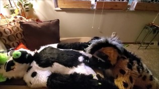 A special 8k twitter follower count video!